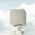 'Musk Assaf Collection' square box with 'ASSAF' branding on a cloud background
