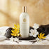 'Queen Of Arabia' Hair Mist perfume bottle with 'Asateer' branding