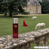 'Risk Comete' perfume bottle with 'Assaf' branding featured by 'Arabiascents'
